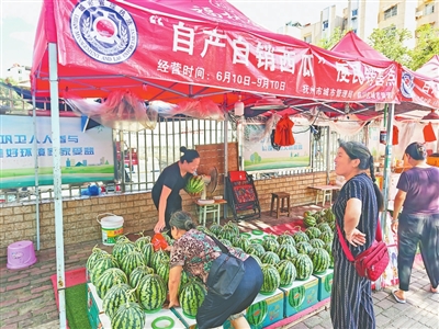 203个西瓜摊点里的城市温度
