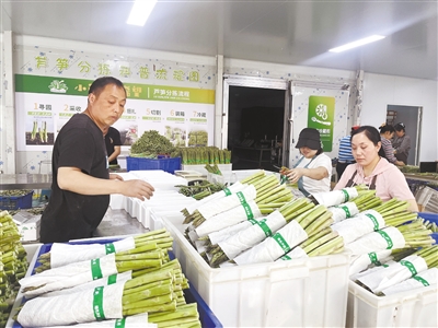 南昌蔬菜怎么这么好？